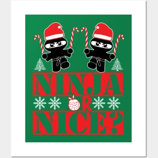 Ninja Or Nice? Posters and Art